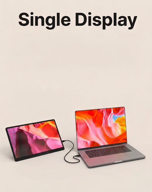Single display